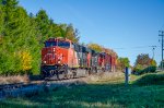 CN 2317 leads 403 at Belzile Street